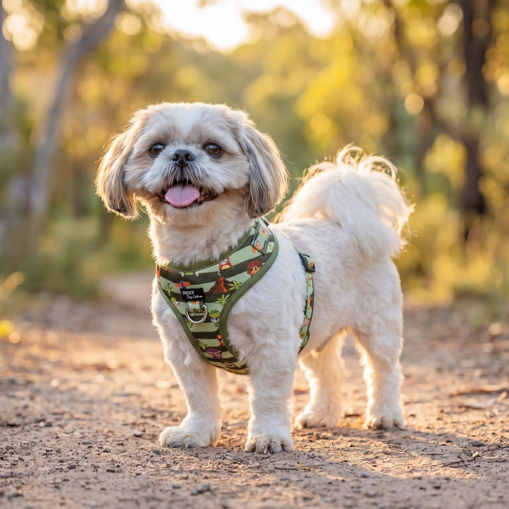 DOG HARNESS |     Mesozoic Mischief | Neck Adjustable Dog Harness