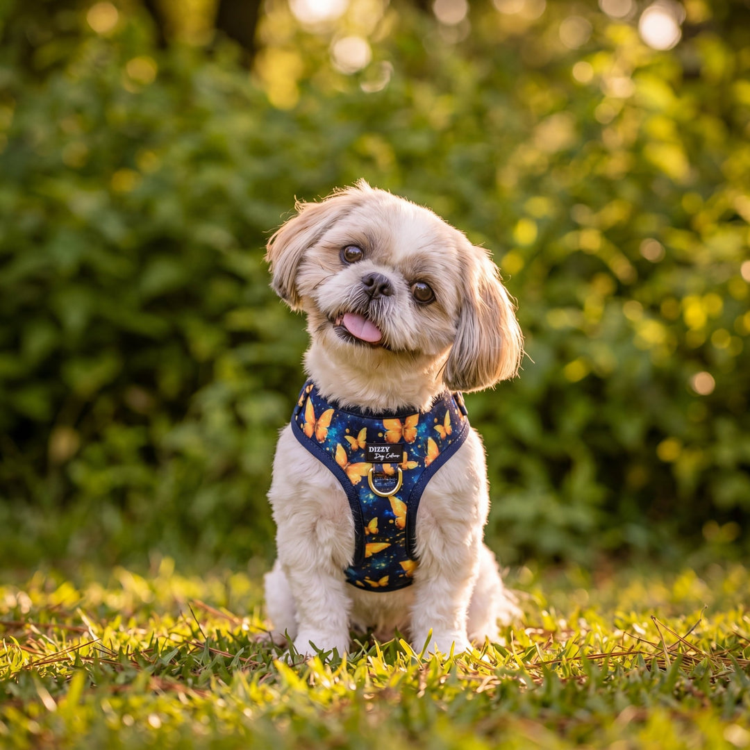 DOG HARNESS | Golden Glow: Butterflies | Neck Adjustable Dog Harness
