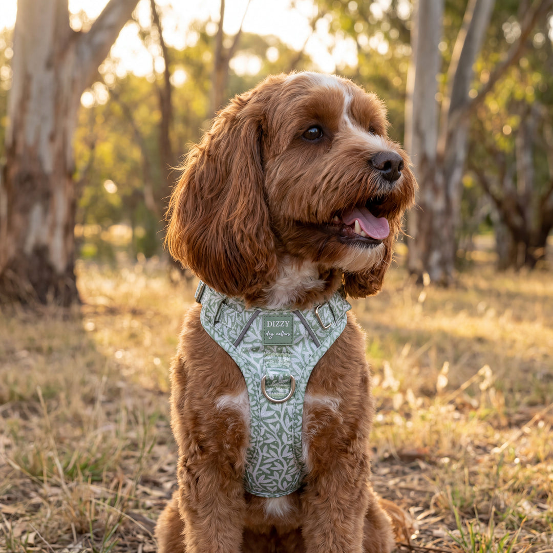 No Pull Dog Harness: Wild Grove: Sage Vines