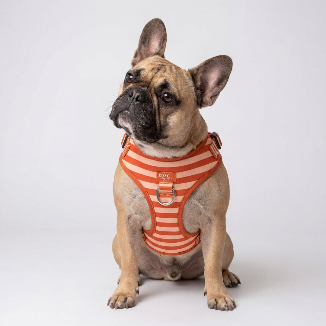 DOG HARNESS | Rusty Ridge | Neck Adjustable Dog Harness