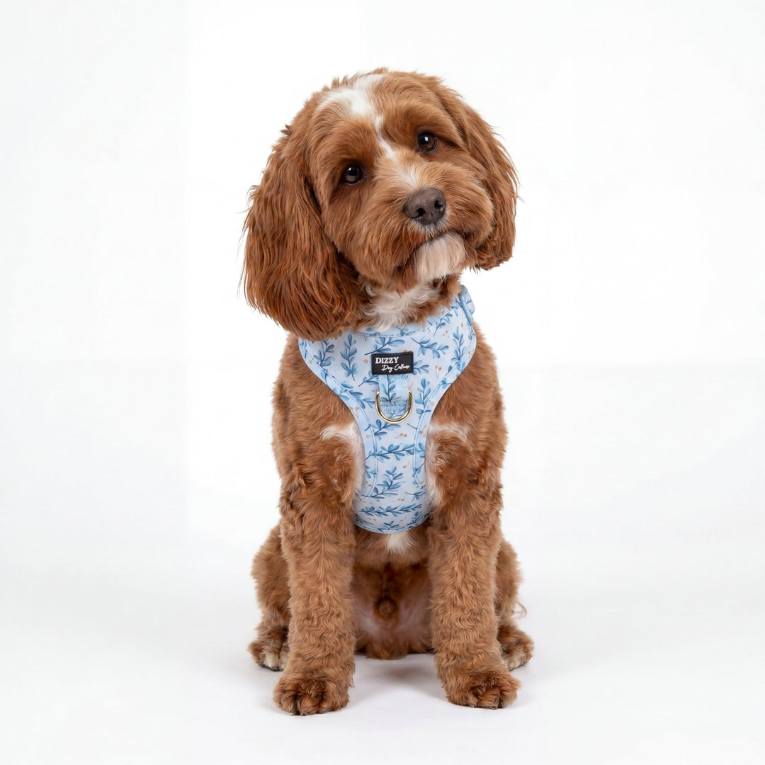 DOG HARNESS | Little Lou | Neck Adjustable Dog Harness