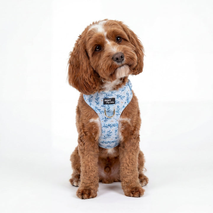DOG HARNESS | Little Lou | Neck Adjustable Dog Harness