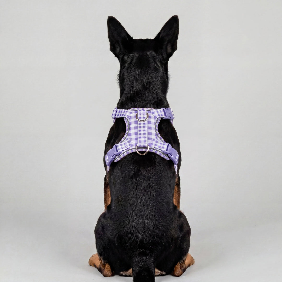 No Pull Harness with Handle | Lavender Gingham | Stainless Steel & Reflective | Step In