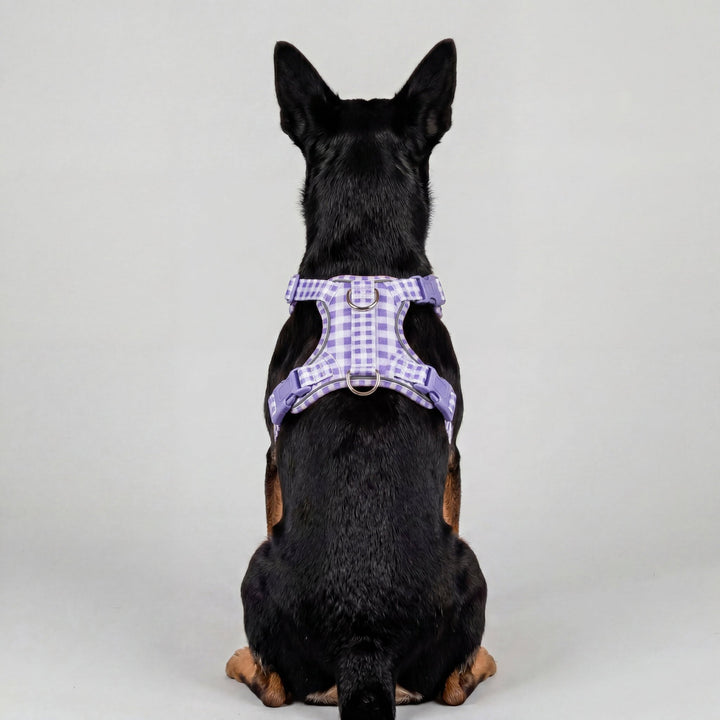 No Pull Harness with Handle | Lavender Gingham | Stainless Steel & Reflective | Step In