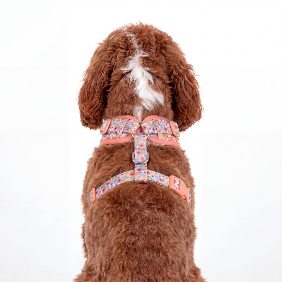 DOG HARNESS | Peachy Posies | Neck Adjustable Dog Harness