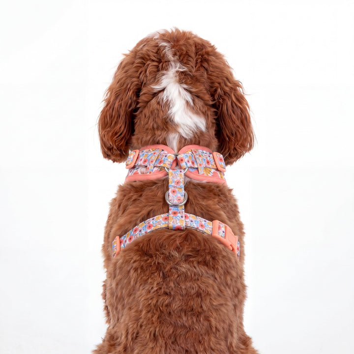 DOG HARNESS | Peachy Posies | Neck Adjustable Dog Harness