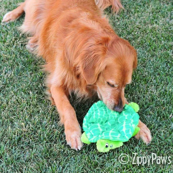 Zippy Paws Squeakie Crawler Plush Squeaker Dog Toy - SlowPoke the Turtle