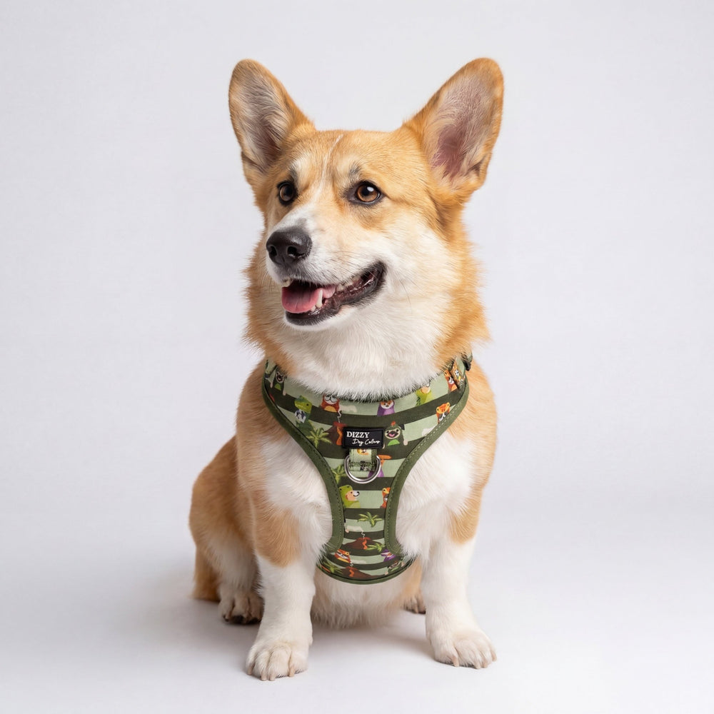 Dog wearing a green harness with cartoon characters on a white background