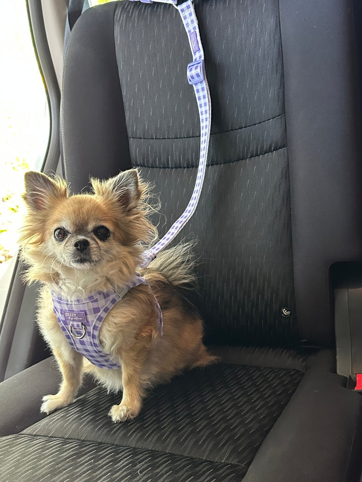 Car Headrest Restraint  | Lavender Gingham| Dog Car Restraint Tether