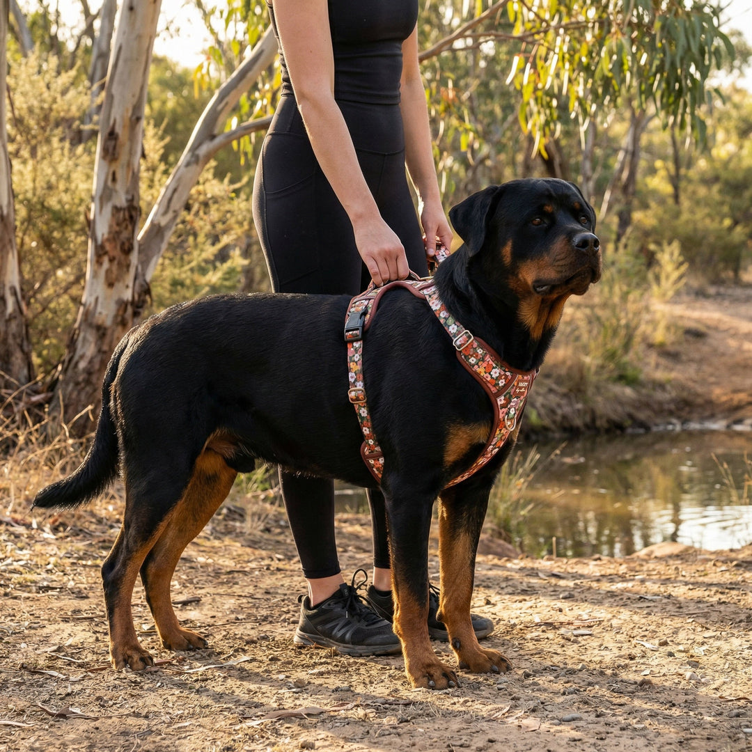 No Pull Dog Harness with Handle | Step in & Reflective | STAINLESS STEEL | Autumn Acres