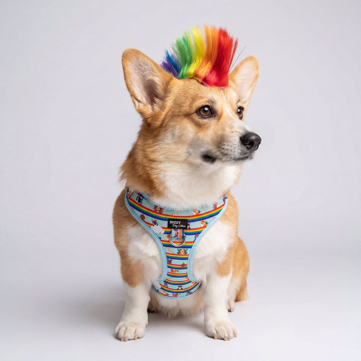 DOG HARNESS | Over the Rainbow | Neck Adjustable Dog Harness