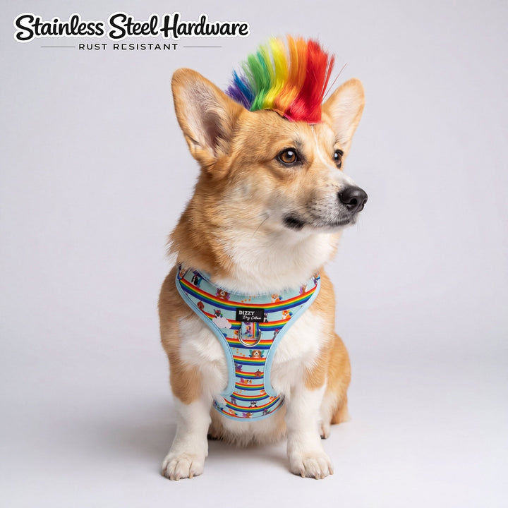 DOG HARNESS | Over the Rainbow | Neck Adjustable Dog Harness