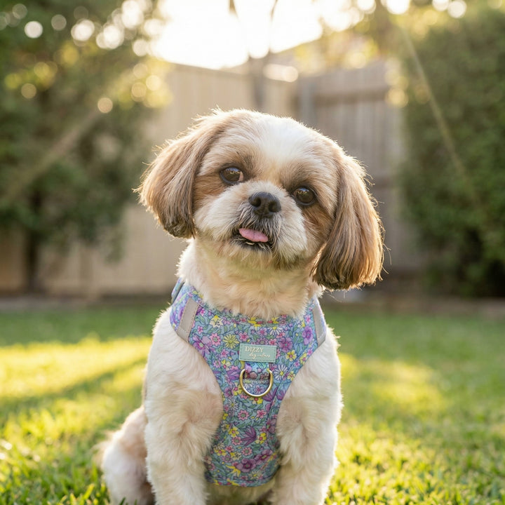 Floral Fable Step In Dog Harness | No Pull Harness for Small Dogs & Cats