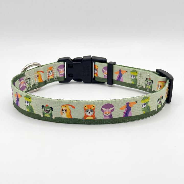 Mesozoic Mischief
-  Dog Collar | Value Range Dog Collar | Stainless Steel