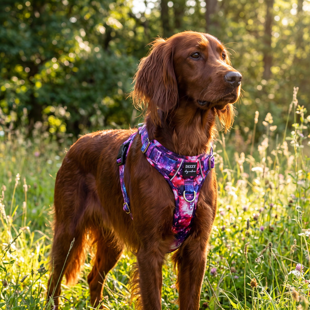 No Pull Dog Harness with Handle | Reflective & Stainless Steel | Galaxy