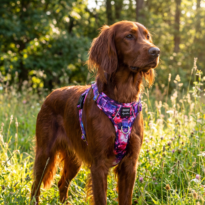 No Pull Dog Harness with Handle | Reflective & Stainless Steel | Galaxy