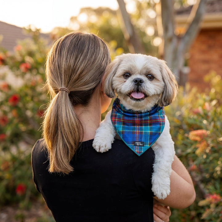 The Hamish: Scottish Tartan | Tie Up Dog Bandana