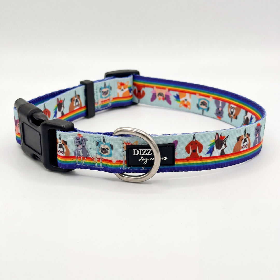 Over The Rainbow - Dog Collar | Value Range Dog Collar | Stainless Steel
