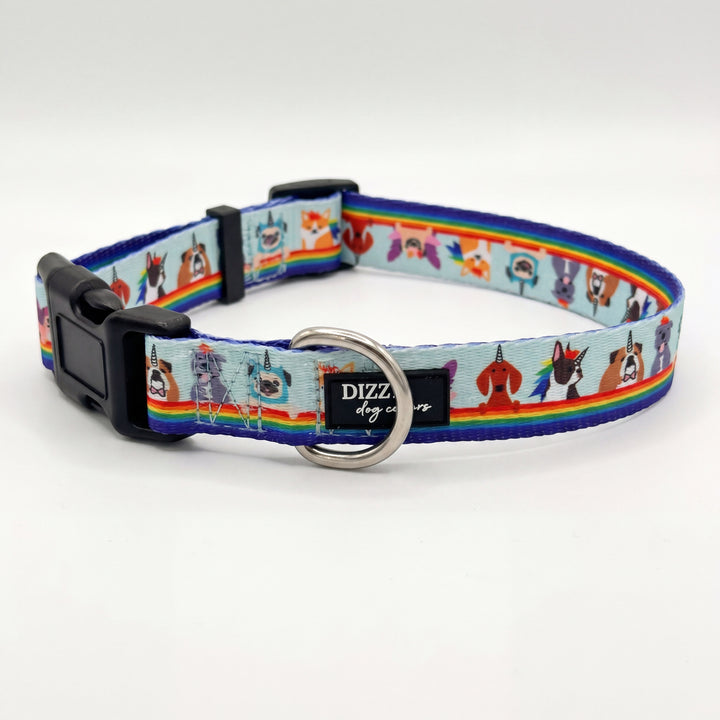 Over The Rainbow - Dog Collar | Value Range Dog Collar | Stainless Steel