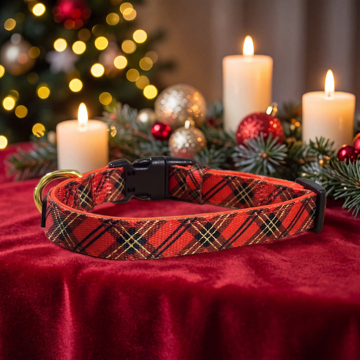 Red and Gold Plaid Dog Collar