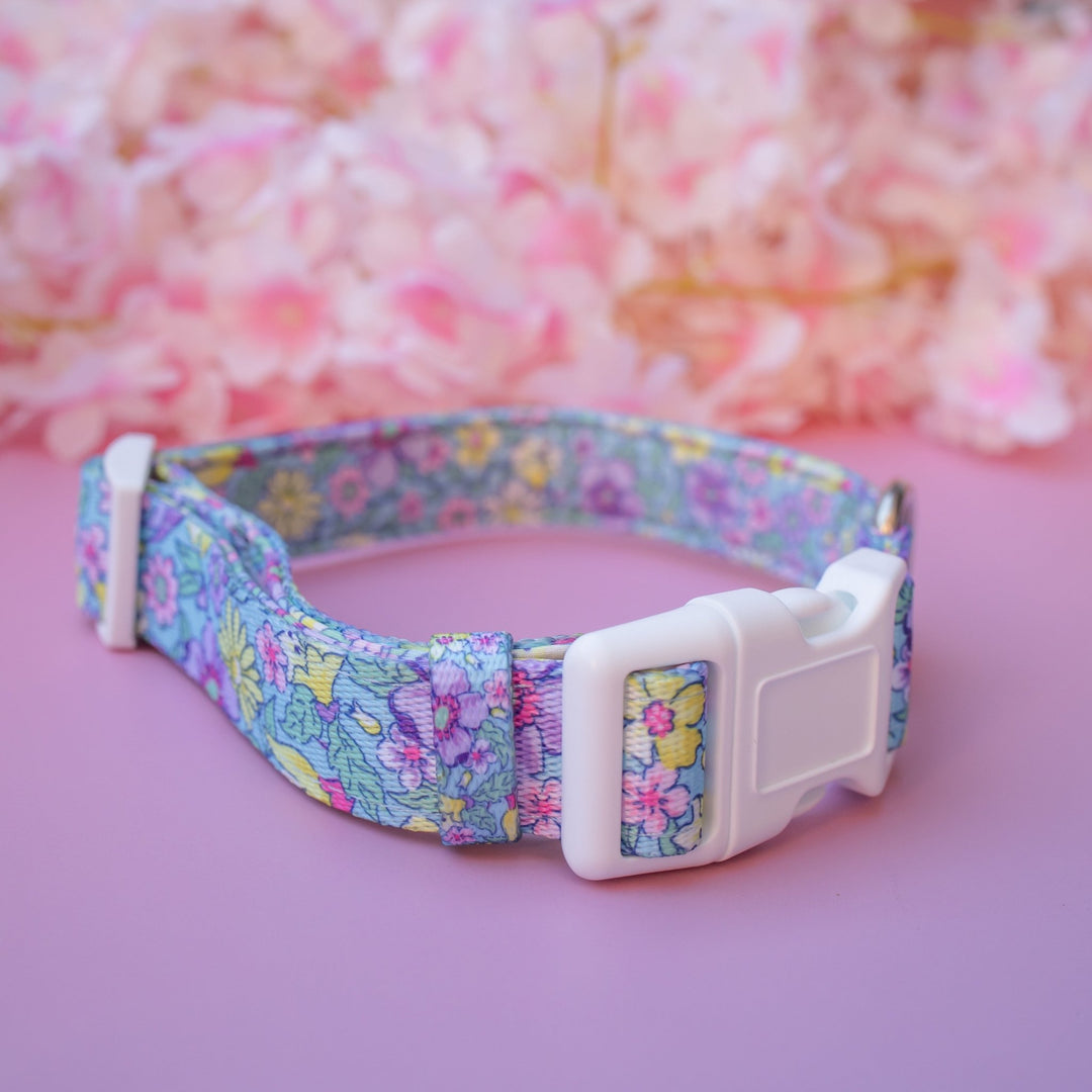 Floral Fable Dog Collar | Neoprene Dog Collar | Stainless Steel
