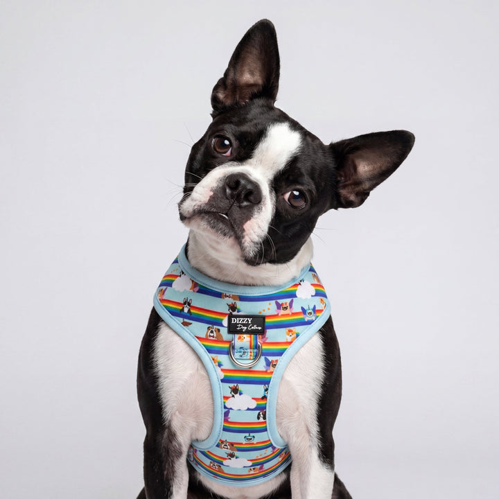 DOG HARNESS | Over the Rainbow | Neck Adjustable Dog Harness