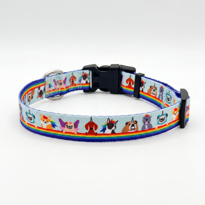 Over The Rainbow - Dog Collar | Value Range Dog Collar | Stainless Steel