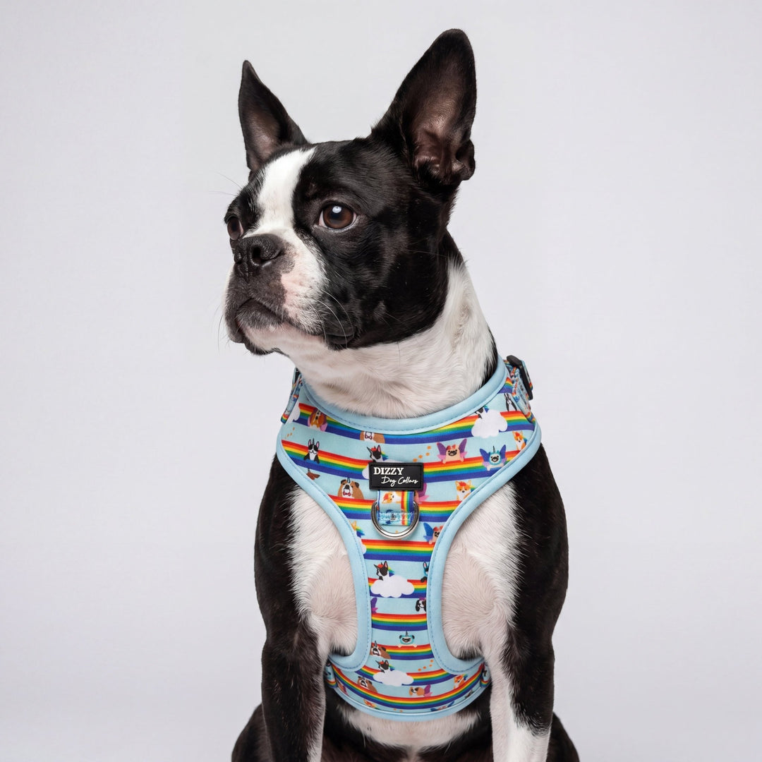 DOG HARNESS | Over the Rainbow | Neck Adjustable Dog Harness