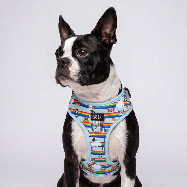 DOG HARNESS | Over the Rainbow | Neck Adjustable Dog Harness