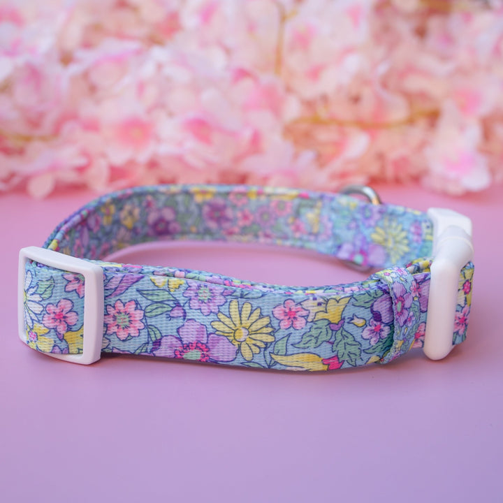 Floral Fable Dog Collar | Neoprene Dog Collar | Stainless Steel