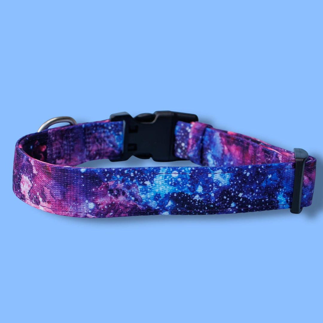 Galaxy Dog Collar | Neoprene & Stainless Steel