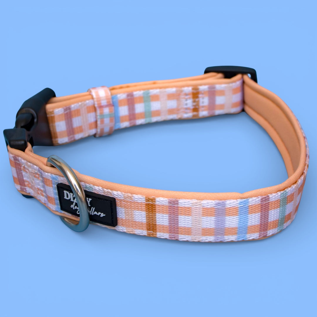 Vintage Gingham Dog Collar | Neoprene & Stainless Steel