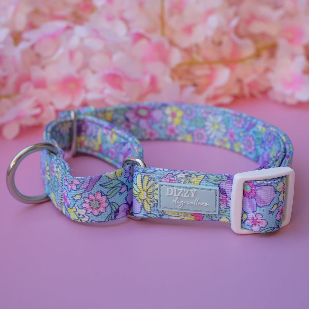 Martingale Dog Collar | Floral Fable