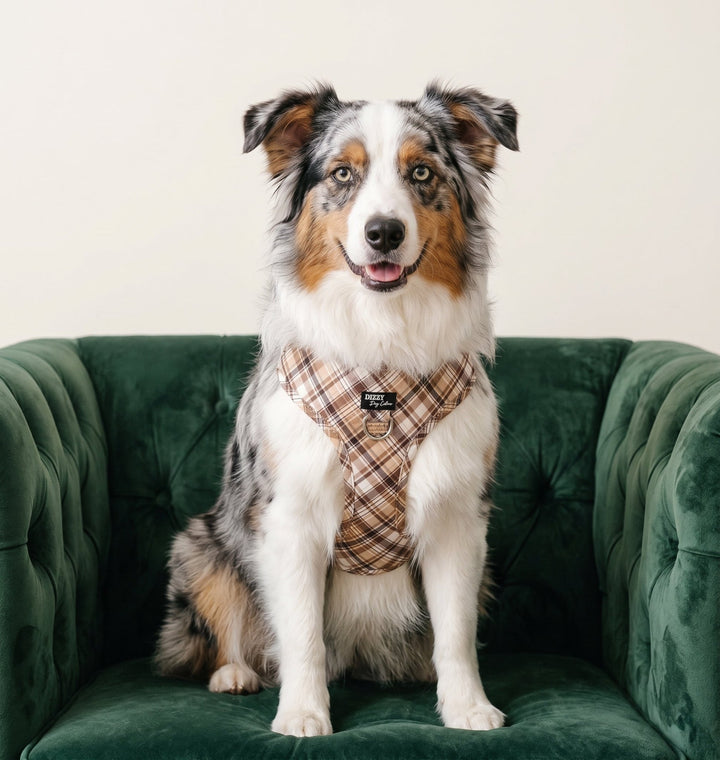 DOG HARNESS | Maplewood: Caramel & Brown Plaid | Neck Adjustable Dog Harness