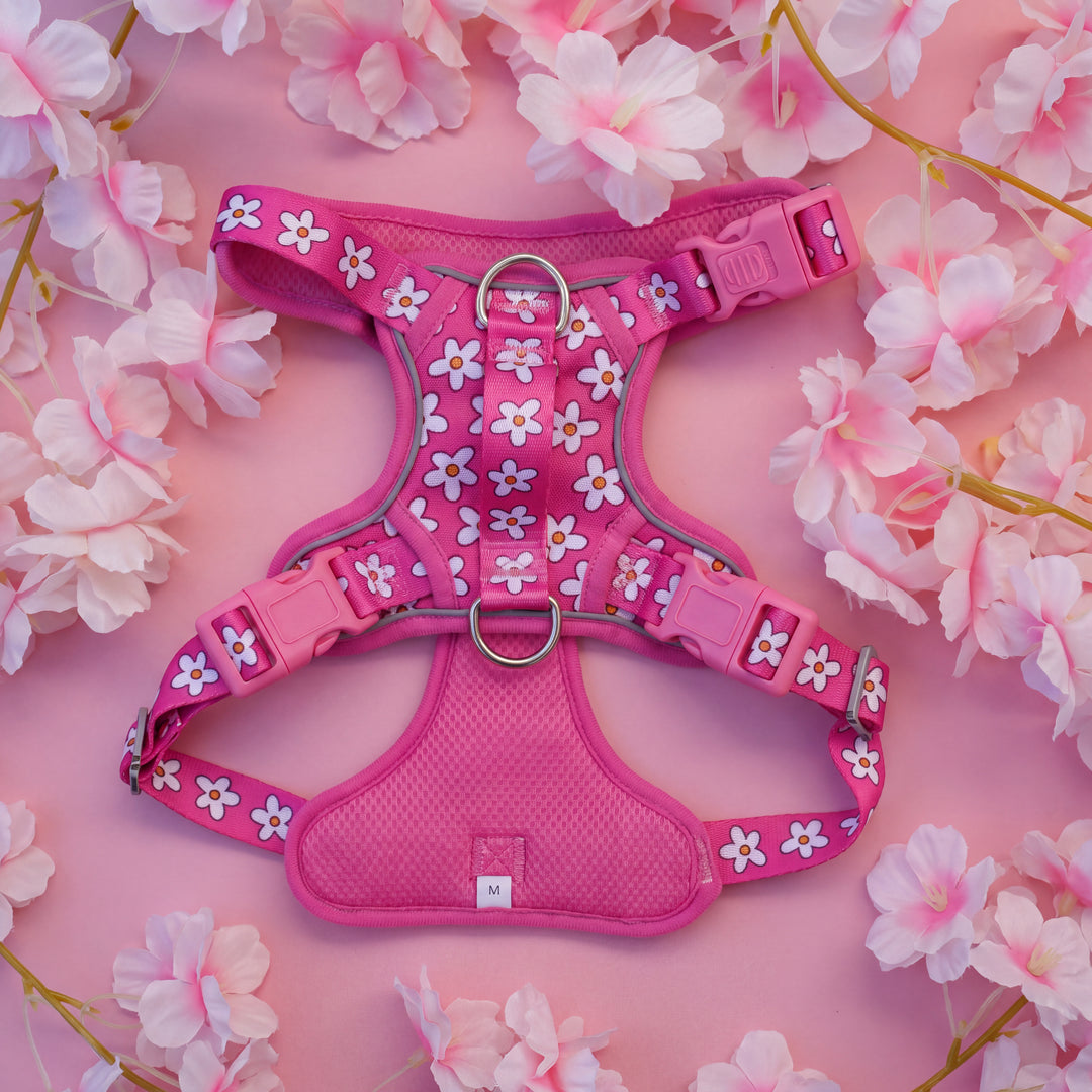 Darling Daisy: No Pull Dog Harness