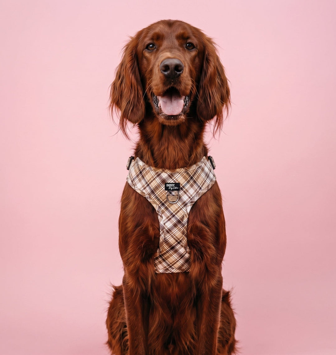 DOG HARNESS | Maplewood: Caramel & Brown Plaid | Neck Adjustable Dog Harness