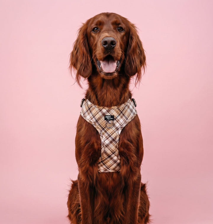 DOG HARNESS | Maplewood: Caramel & Brown Plaid | Neck Adjustable Dog Harness