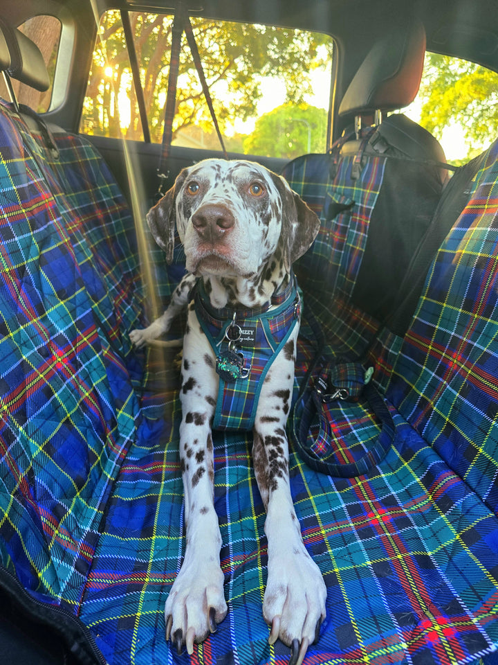 Car Seat Hammock: 2 in 1 Back Seat Cover | The Hamish: Scottish Tartan