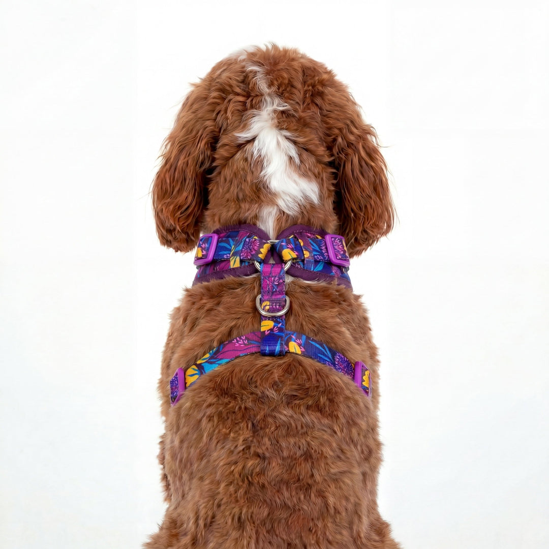 DOG HARNESS -Sapphire Showers, Neck Adjustable Harness