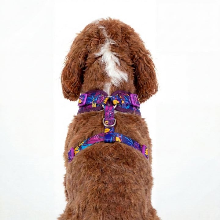 DOG HARNESS -Sapphire Showers, Neck Adjustable Harness