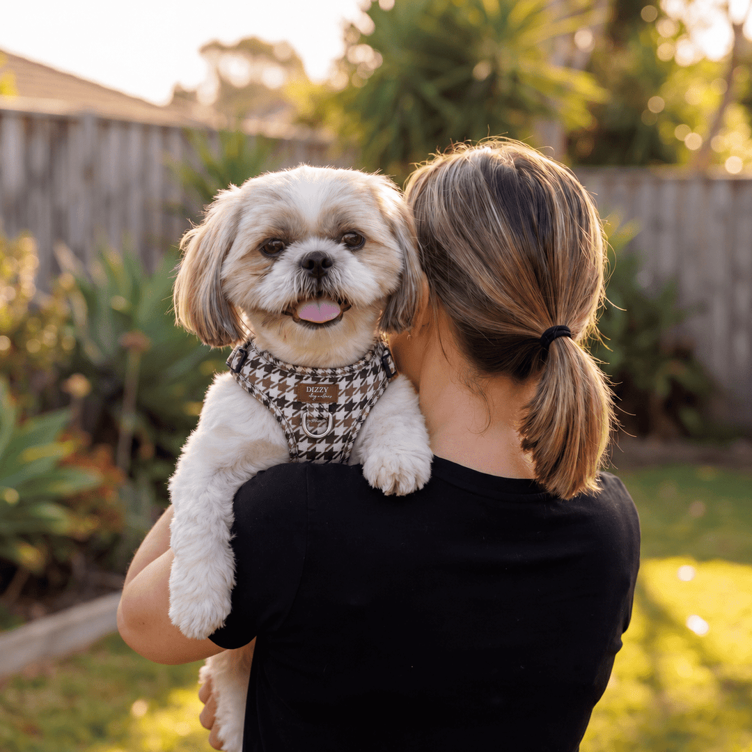 DOG HARNESS | Chestnut Tweed | Neck Adjustable Dog Harness