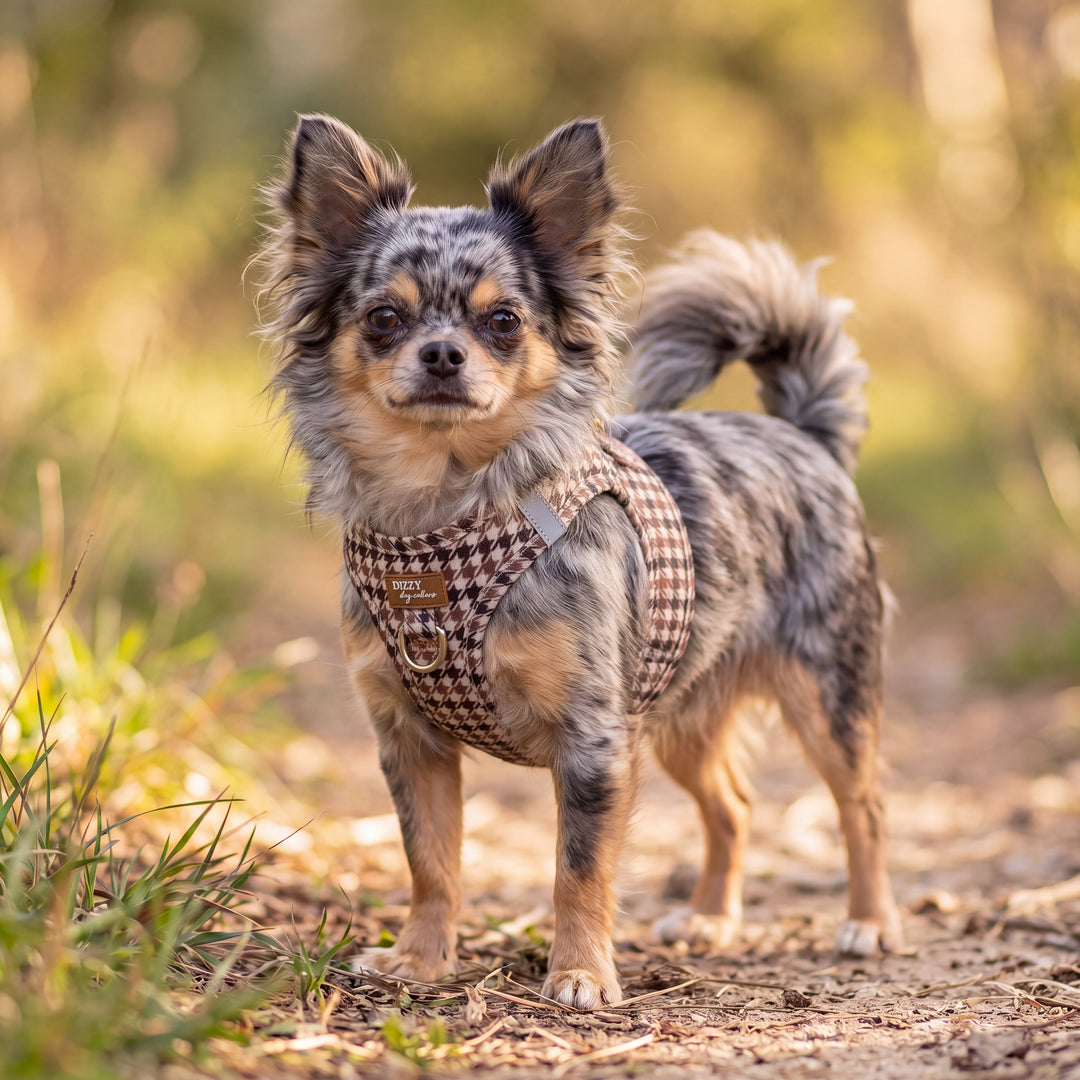 Chestnut Tweed: Step In Dog Harness