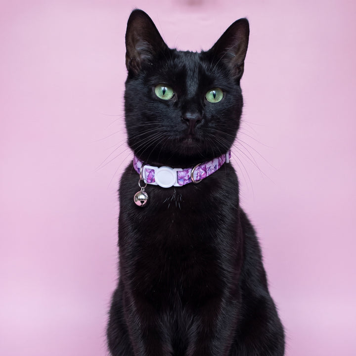 Candy Sky Butterfly Cat Collar | Toy Breed Dog Collar