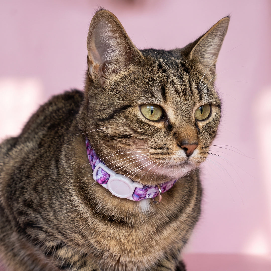 Candy Sky Butterfly Cat Collar | Toy Breed Dog Collar