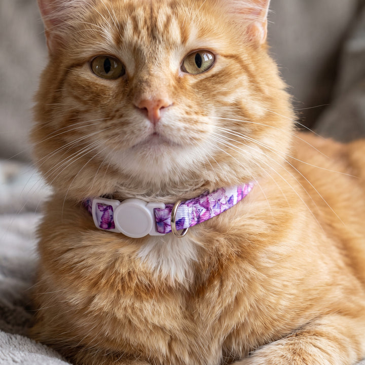 Candy Sky Butterfly Cat Collar | Toy Breed Dog Collar