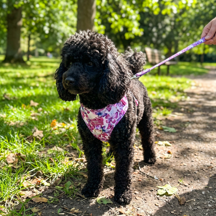 DOG HARNESS | Candy Sky Butterfly - Pink Butterflies | Neck Adjustable Dog Harness
