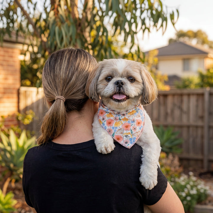 Person holding a small dog with a floral bandana in a backyard setting