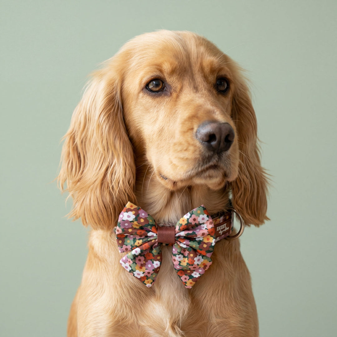 Dog wearing a floral bow tie collar against a light green background