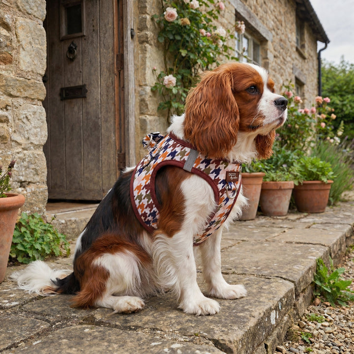 Heritage Hound Step In Dog Harness: No Pull Harness | For XS to Medium Dogs & Cats |STAINLESS STEEL| Heritage Hound