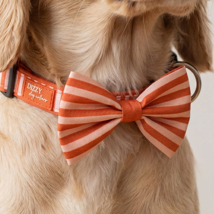 Dog Bow Tie | Rusty Ridge